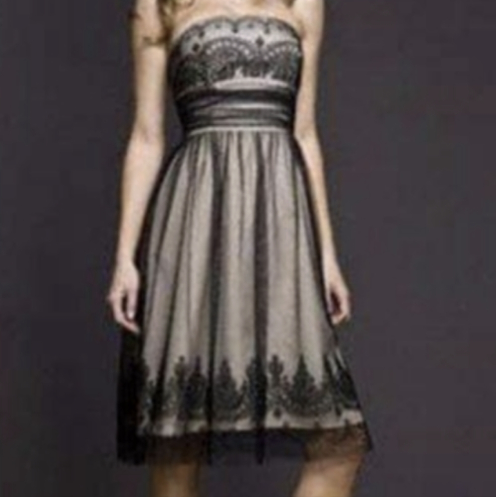 Black mesh nude underlay cocktail dress